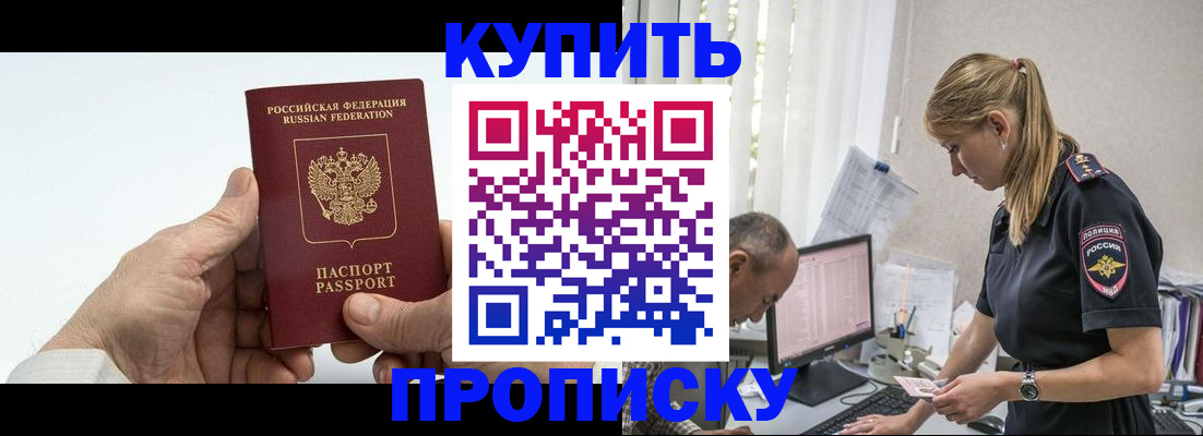 прописка поиск в Новодвинске